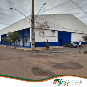 jaguar-pinturas-portifolio (22)